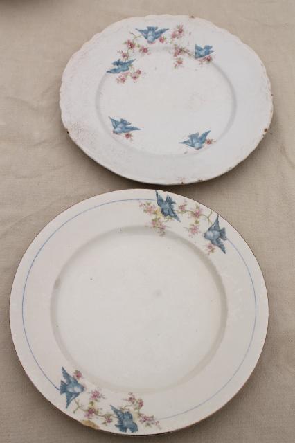 photo of shabby antique bluebird china plates, mismatched vintage china w/ blue birds #4