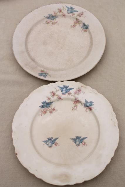 photo of shabby antique bluebird china plates, mismatched vintage china w/ blue birds #9