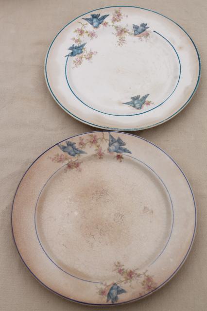 photo of shabby antique bluebird china plates, mismatched vintage china w/ blue birds #11