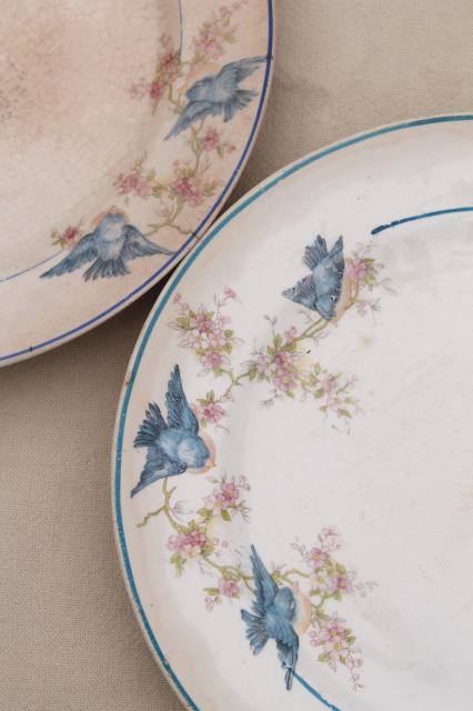 photo of shabby antique bluebird china plates, mismatched vintage china w/ blue birds #13