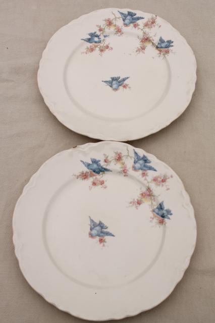 photo of shabby antique bluebird china plates, mismatched vintage china w/ blue birds #14