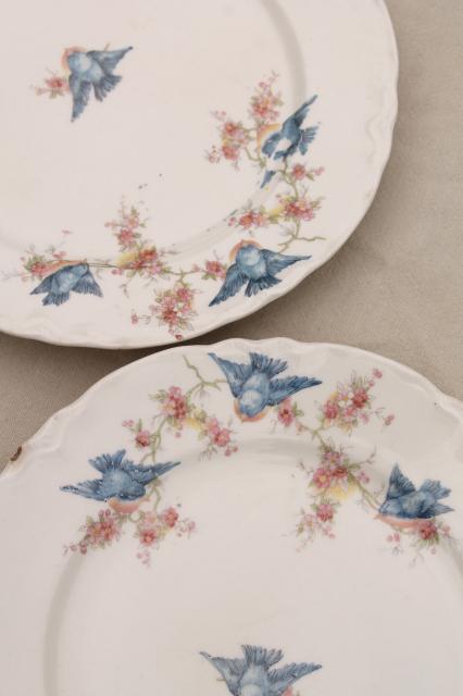 photo of shabby antique bluebird china plates, mismatched vintage china w/ blue birds #15