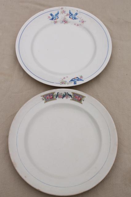 photo of shabby antique bluebird china plates, mismatched vintage china w/ blue birds #17