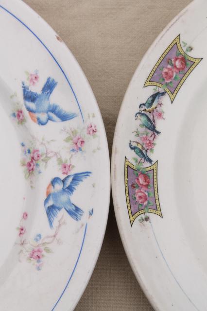 photo of shabby antique bluebird china plates, mismatched vintage china w/ blue birds #18