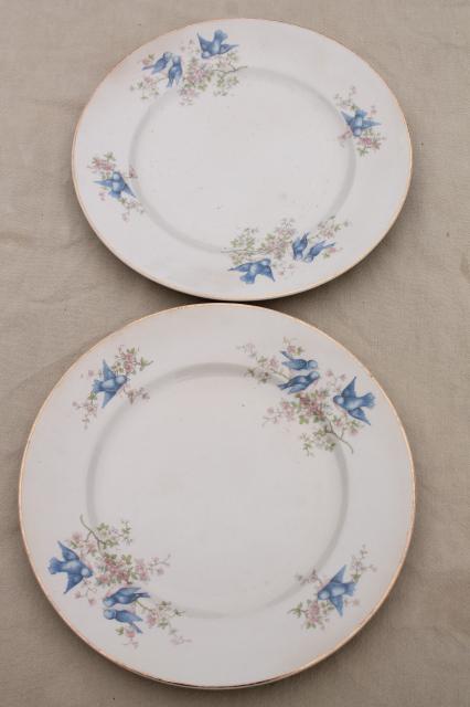 photo of shabby antique bluebird china plates, mismatched vintage china w/ blue birds #22