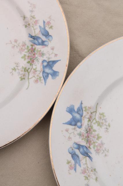 photo of shabby antique bluebird china plates, mismatched vintage china w/ blue birds #23