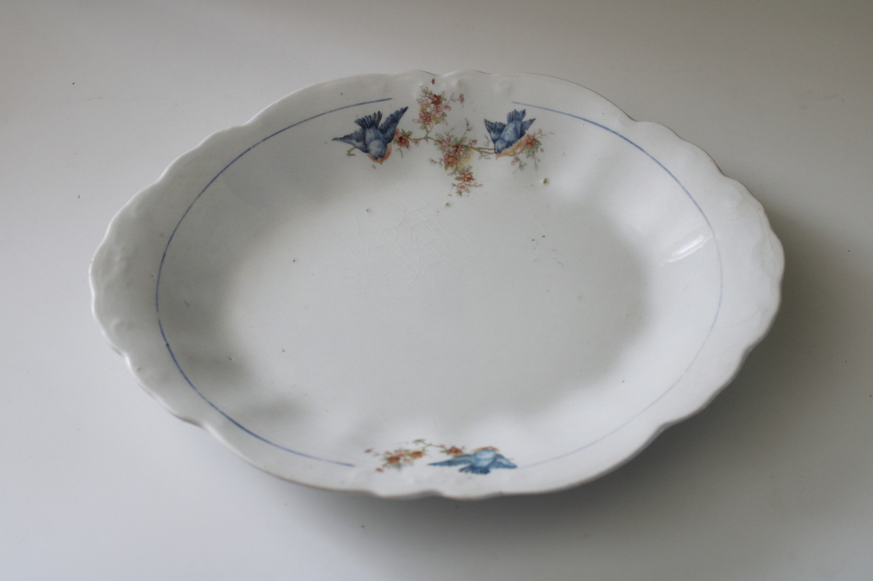 photo of shabby antique bluebird china platter, white ironstone china w/ blue birds, early 1900s vintage  #1