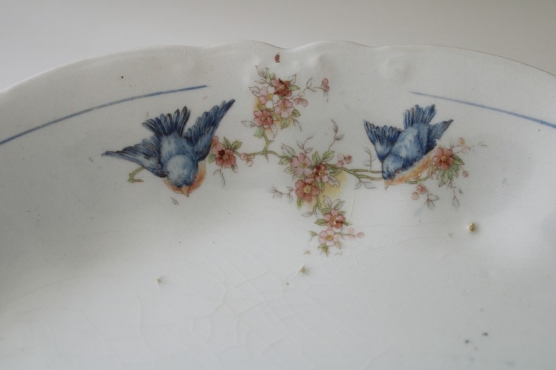 photo of shabby antique bluebird china platter, white ironstone china w/ blue birds, early 1900s vintage  #2