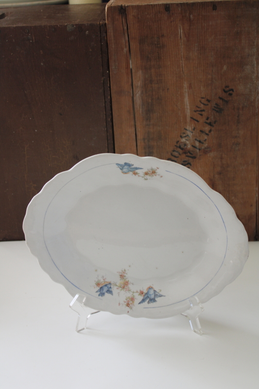 photo of shabby antique bluebird china platter, white ironstone china w/ blue birds, early 1900s vintage  #3