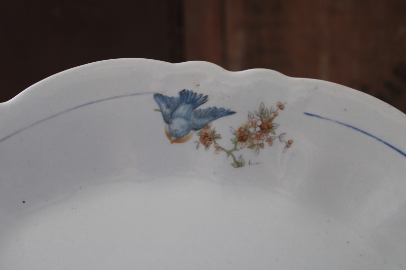 photo of shabby antique bluebird china platter, white ironstone china w/ blue birds, early 1900s vintage  #4