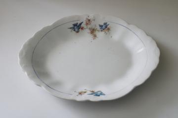 catalog photo of shabby antique bluebird china platter, white ironstone china w/ blue birds, early 1900s vintage 