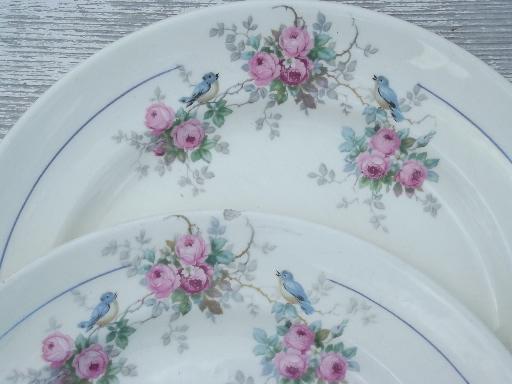 photo of shabby antique bluebird china, vintage Canonsburg blue bird  plates #6