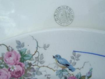catalog photo of shabby antique bluebird china, vintage Canonsburg blue bird  plates