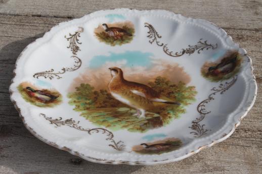 photo of shabby antique china game bird plate w/ quail or partridge, early 1900s vintage #1