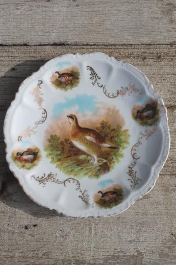 photo of shabby antique china game bird plate w/ quail or partridge, early 1900s vintage #2