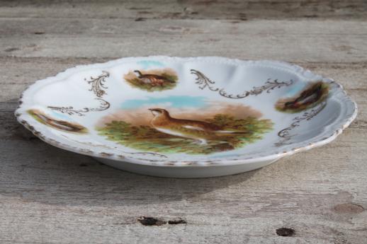 photo of shabby antique china game bird plate w/ quail or partridge, early 1900s vintage #3