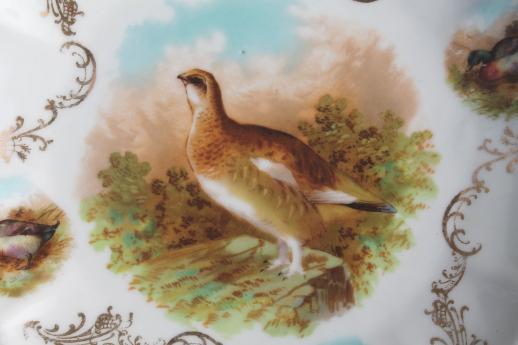 photo of shabby antique china game bird plate w/ quail or partridge, early 1900s vintage #6