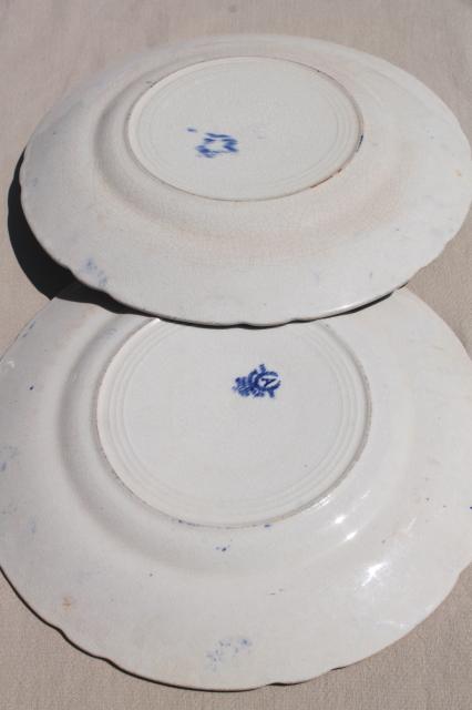 photo of shabby antique china plates, old blue & white transferware, willow, apple blossom pattern #6