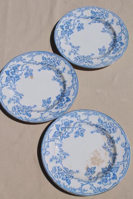 photo of shabby antique china plates, old blue & white transferware, willow, apple blossom pattern #10