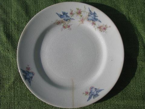 photo of shabby old antique bluebird china plate vintage W S George blue birds #1