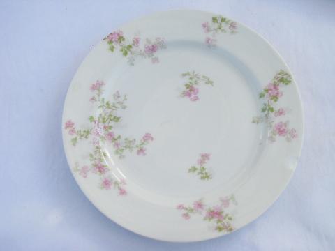 photo of shabby pink roses, lot old antique vintage china plates assorted rose patterns #5