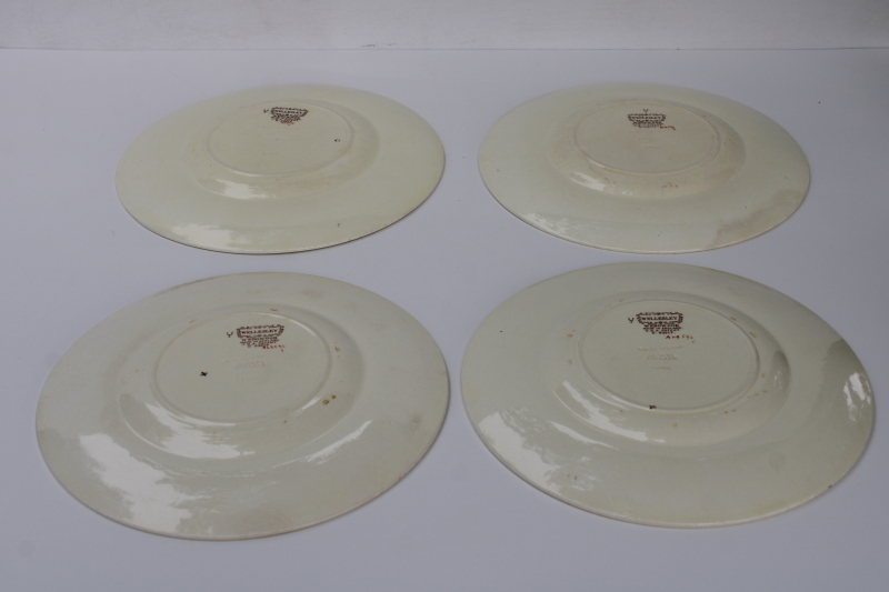 photo of shabby vintage Wedgwood china plates Tenbury floral on cream Wellesley embossed border  #7
