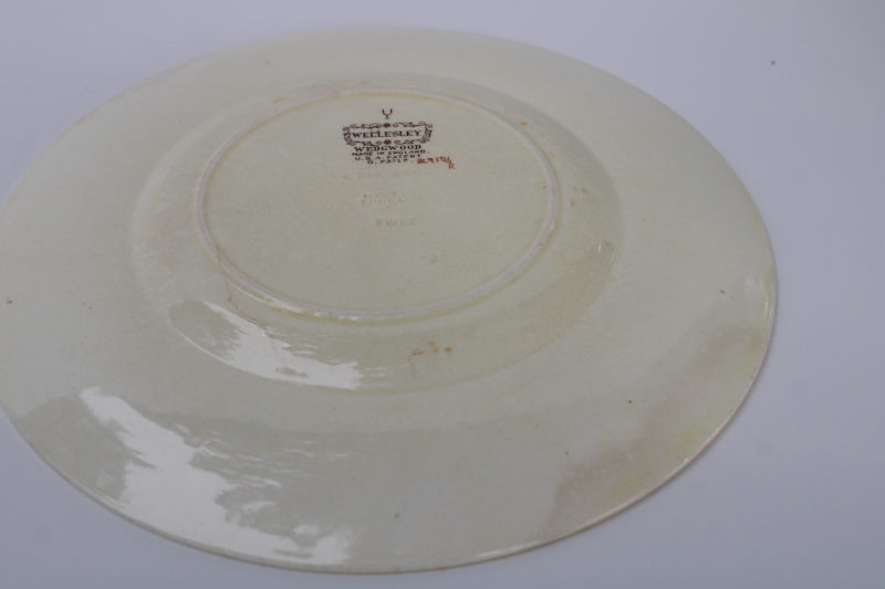 photo of shabby vintage Wedgwood china plates Tenbury floral on cream Wellesley embossed border  #8