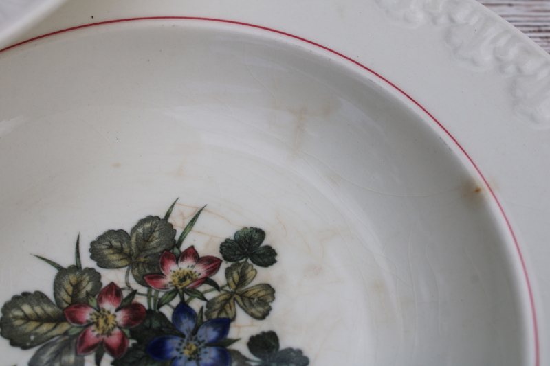 photo of shabby vintage Wedgwood china soup bowls, Pembroke wild strawberries floral pattern, Corinthian embossed border  #5