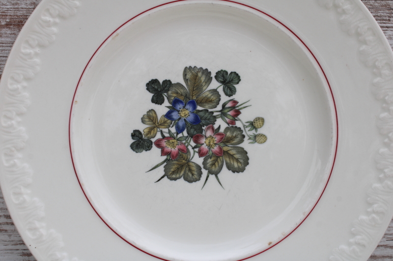 photo of shabby vintage Wedgwood dinner plates, Corinthian embossed cream china Pembroke wild strawberries floral  #2