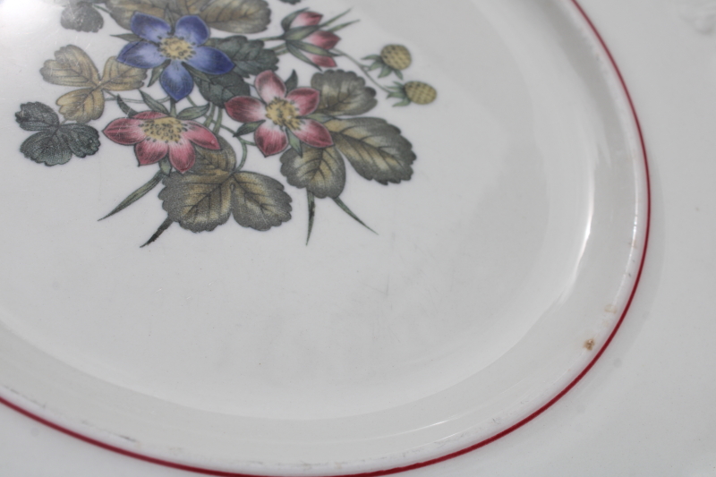 photo of shabby vintage Wedgwood dinner plates, Corinthian embossed cream china Pembroke wild strawberries floral  #3