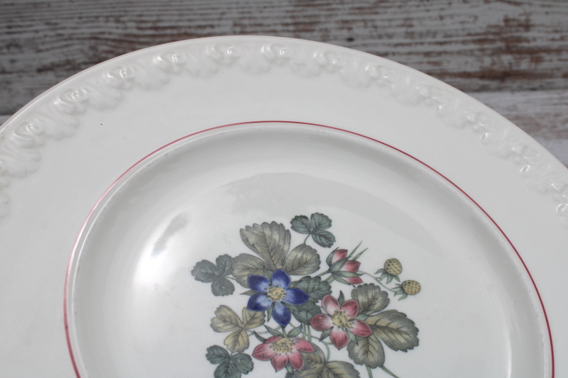photo of shabby vintage Wedgwood dinner plates, Corinthian embossed cream china Pembroke wild strawberries floral  #4