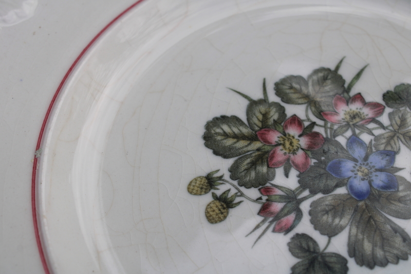 photo of shabby vintage Wedgwood salad or dessert plates, Corinthian embossed cream china Pembroke wild strawberries floral  #3