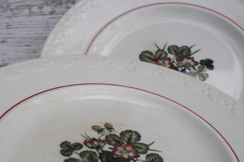 photo of shabby vintage Wedgwood salad or dessert plates, Corinthian embossed cream china Pembroke wild strawberries floral  #4