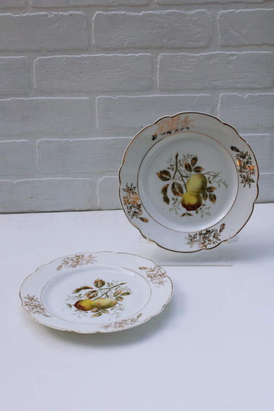 photo of shabby vintage china plates w/ golden russet apples, antique engraving style botanical illustrations #1