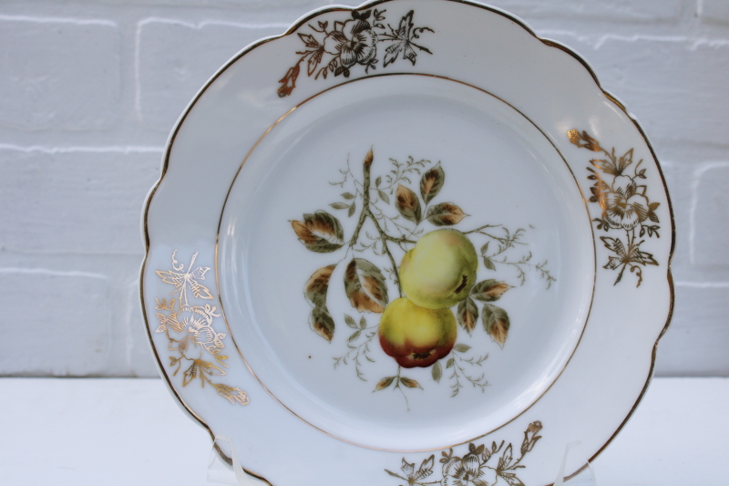 photo of shabby vintage china plates w/ golden russet apples, antique engraving style botanical illustrations #2