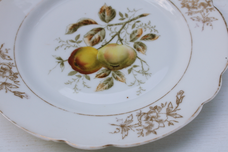 photo of shabby vintage china plates w/ golden russet apples, antique engraving style botanical illustrations #3