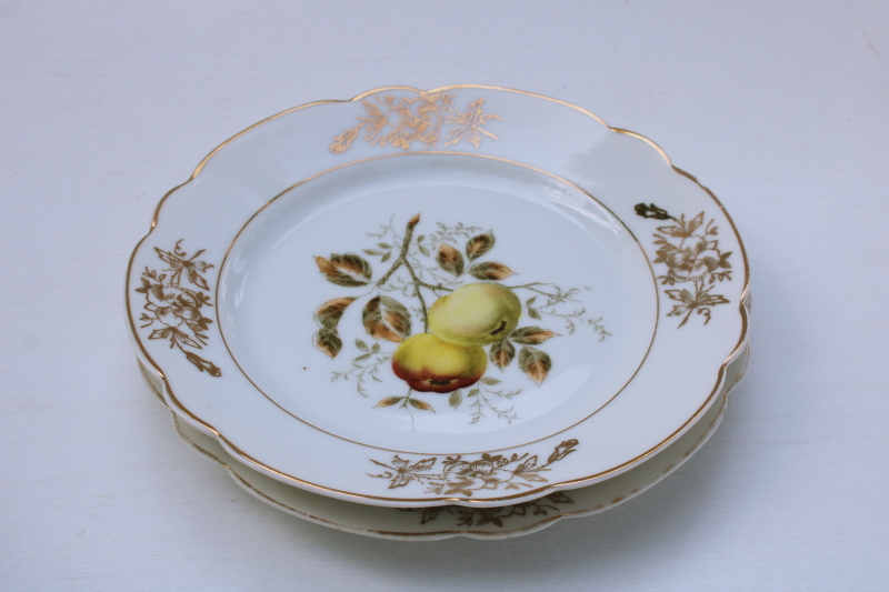 photo of shabby vintage china plates w/ golden russet apples, antique engraving style botanical illustrations #7