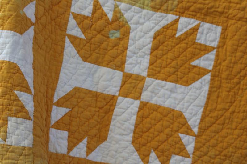 photo of shabby vintage hand-stitched bear paw pattern quilt, mustard gold & white cotton #12