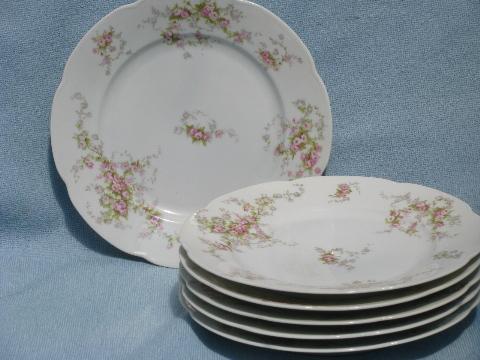 photo of six antique Austria porcelain dinner plates, vintage pink roses china #1