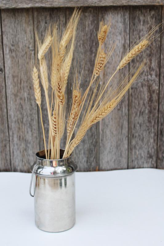 photo of small metal milk can w/ bucket handle, stainless steel dairy or kitchen pail #2