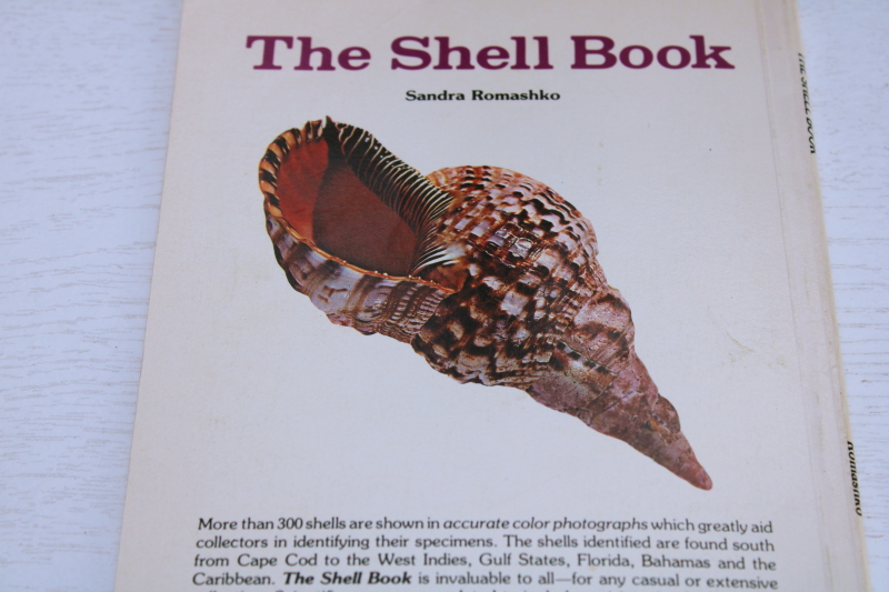 photo of small pocket guide book of seashells, shells of Florida, the Gulf & Caribbean #4