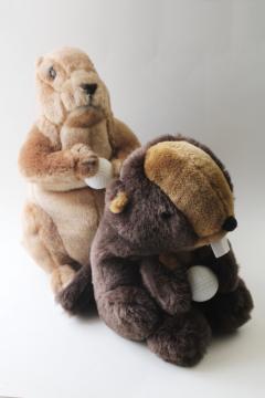 catalog photo of soft stuffed furry plush gophers w/ golf balls, gopher golf club head covers 