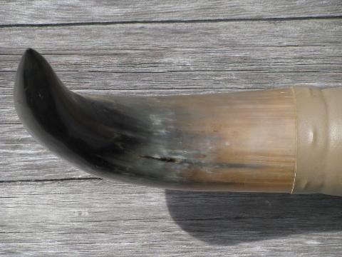 photo of southwest longhorn cattle horns mount, western camp / cowboy dude ranch style #3