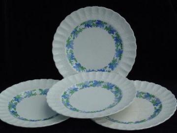 catalog photo of spode valencia china vintage plates