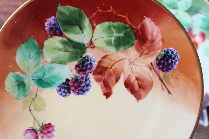 photo of summer fruit hand painted china plates, collection of mismatched plates early 1900s vintage #11