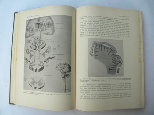 photo of the Physiological Foundation of Dental Practice, 1950s medical book #2