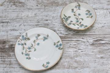 catalog photo of tiny antique china plates w/ forget me nots, turn of the century vintage doll dishes or butter pats 