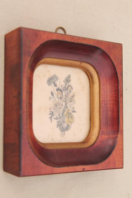 photo of tiny vintage botanical floral prints in deep wood frames, old artwork miniatures  #6