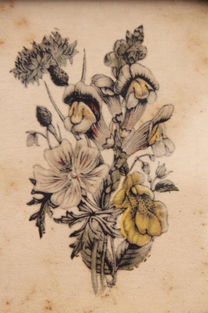 photo of tiny vintage botanical floral prints in deep wood frames, old artwork miniatures  #9