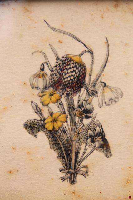 photo of tiny vintage botanical floral prints in deep wood frames, old artwork miniatures  #10